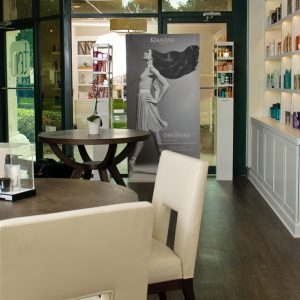 ten salon ponte vedra beach
