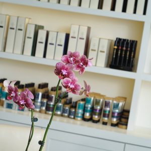 ten salon ponte vedra beach